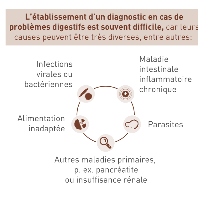 Diagnostic