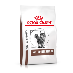 Gastrointestinal Tract - Gastro Intestinal Cat